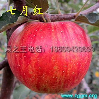 2014092416413558.jpg