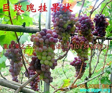 2014100418063802.jpg
