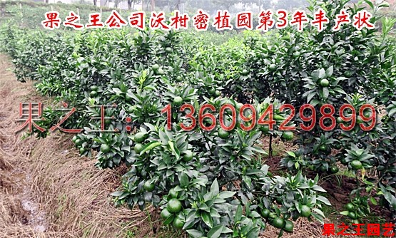 微信图片_20190904095022.jpg