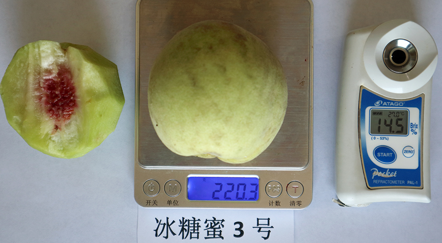 冰糖蜜3号1.jpg