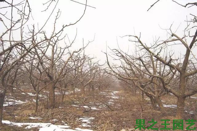 2018020910315500.jpg