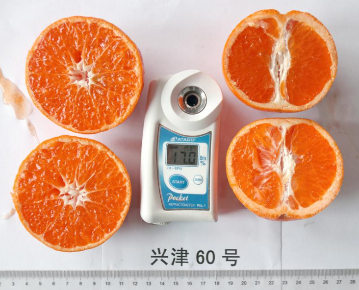 微信图片_20200725105157.png